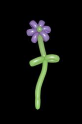 fleur-en-ballon.jpg